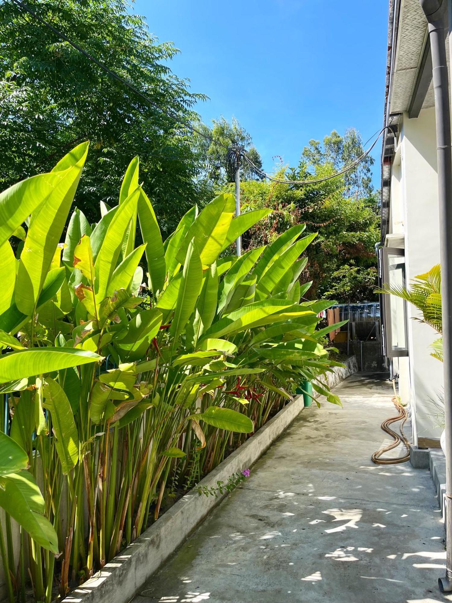 Crest House Beachside - Three-Bedroom Private House On Cham Island Hoi An Tân Hiệ Extérieur photo